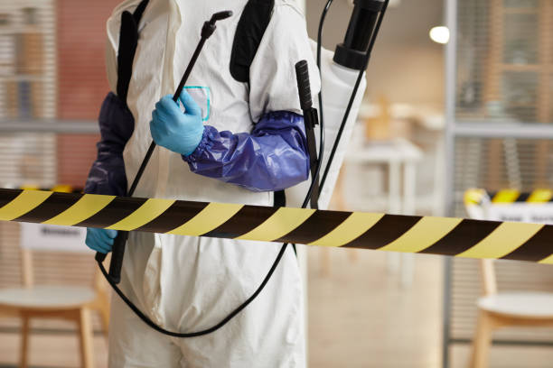 Professional Sewage Cleanup technician working in Sulphur Springs, IN
